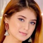 The Net Worth of Arishfa Khan