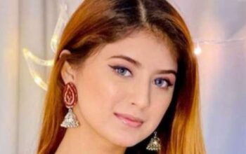 The Net Worth of Arishfa Khan