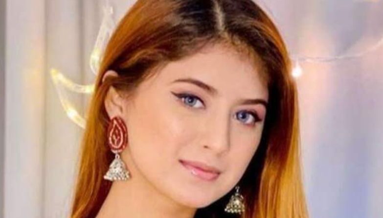 The Net Worth of Arishfa Khan