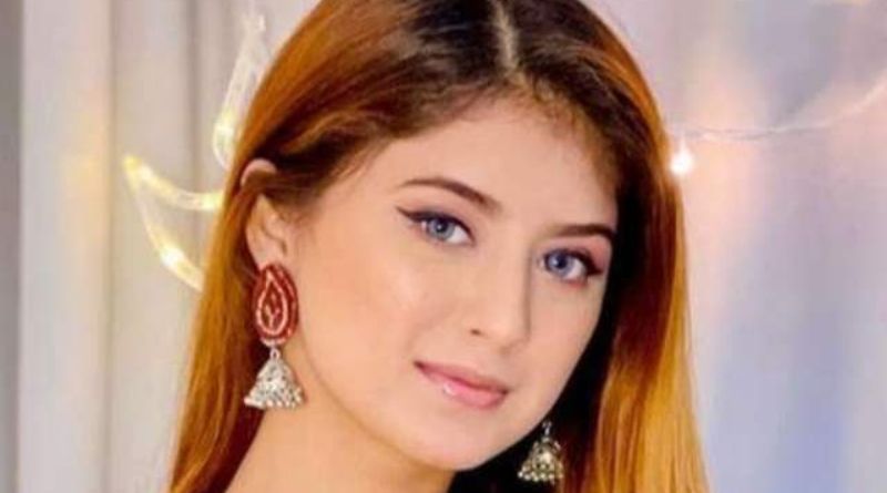 The Net Worth of Arishfa Khan: A Detailed Look into the Life of a Social Media Sensation