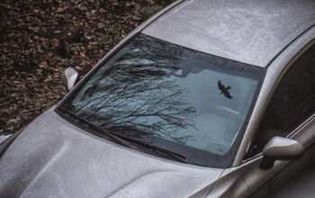 Windshield Replacement